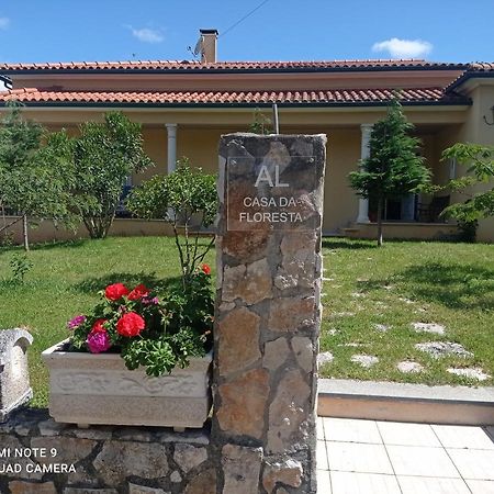Casa Da Floresta Santiago da Guarda Екстер'єр фото