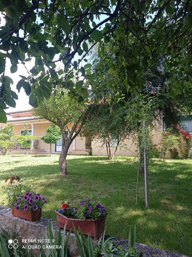 Casa Da Floresta Santiago da Guarda Екстер'єр фото